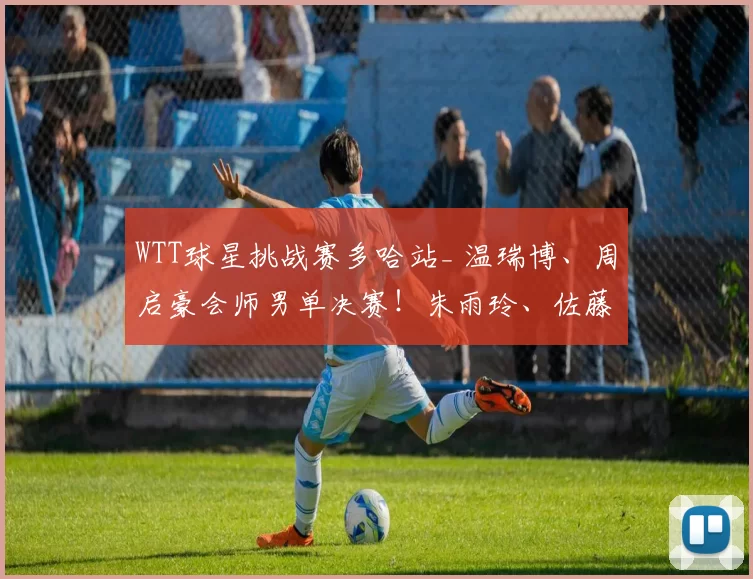 WTT球星挑战赛多哈站_ 温瑞博、周启豪会师男单决赛！朱雨玲、佐藤瞳女单争冠