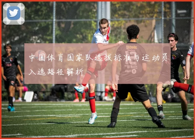 中国体育国家队选拔标准与运动员入选路径解析