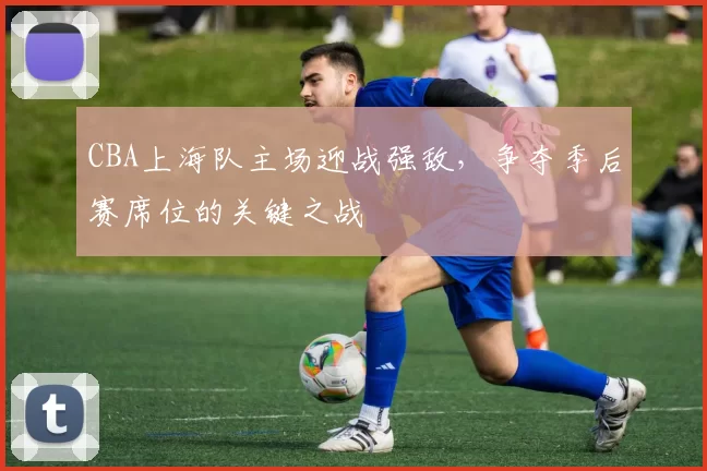 CBA上海队主场迎战强敌,争夺季后赛席位的关键之战