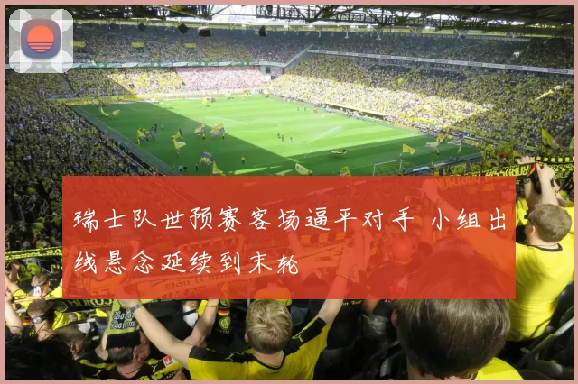 瑞士队世预赛客场逼平对手 小组出线悬念延续到末轮